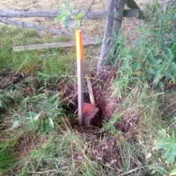 Pomarańczowo-szary słupek wbity w ziemię z widocznym fragmentem czerwonej cegły, otoczony trawą i roślinnością, w tle drewniany płot i pień drzewa.
