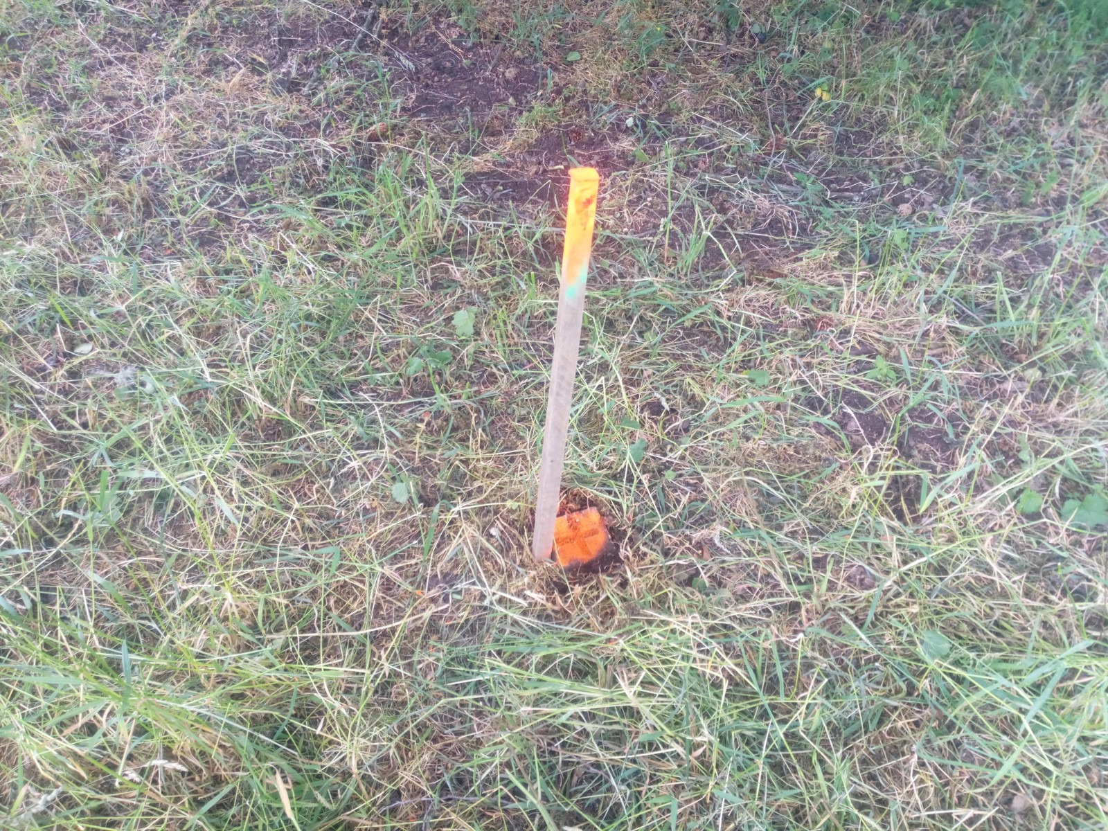 Odszukany w terenie punkt graniczny.