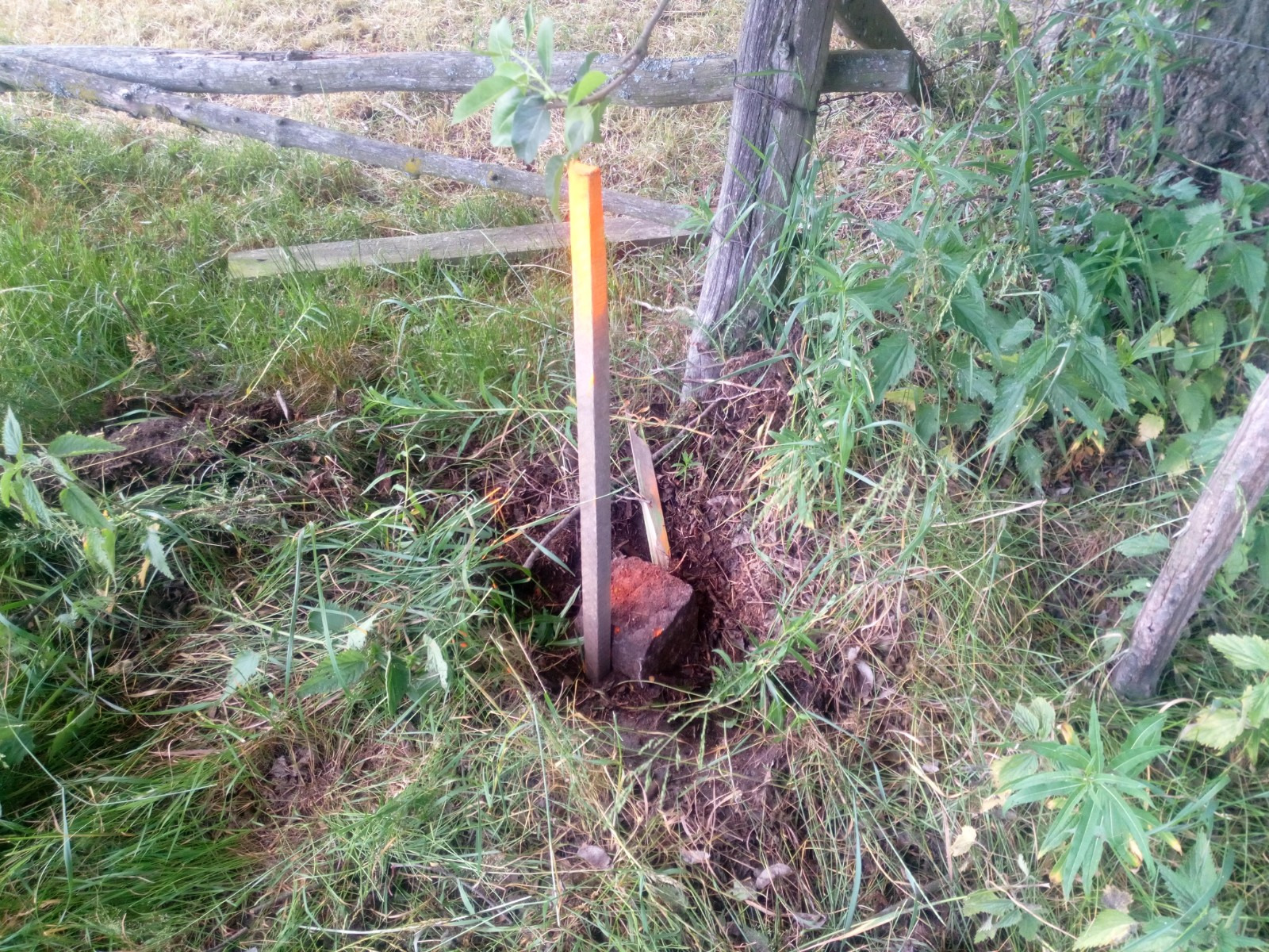 Pomarańczowo-szary słupek wbity w ziemię z widocznym fragmentem czerwonej cegły, otoczony trawą i roślinnością, w tle drewniany płot i pień drzewa.