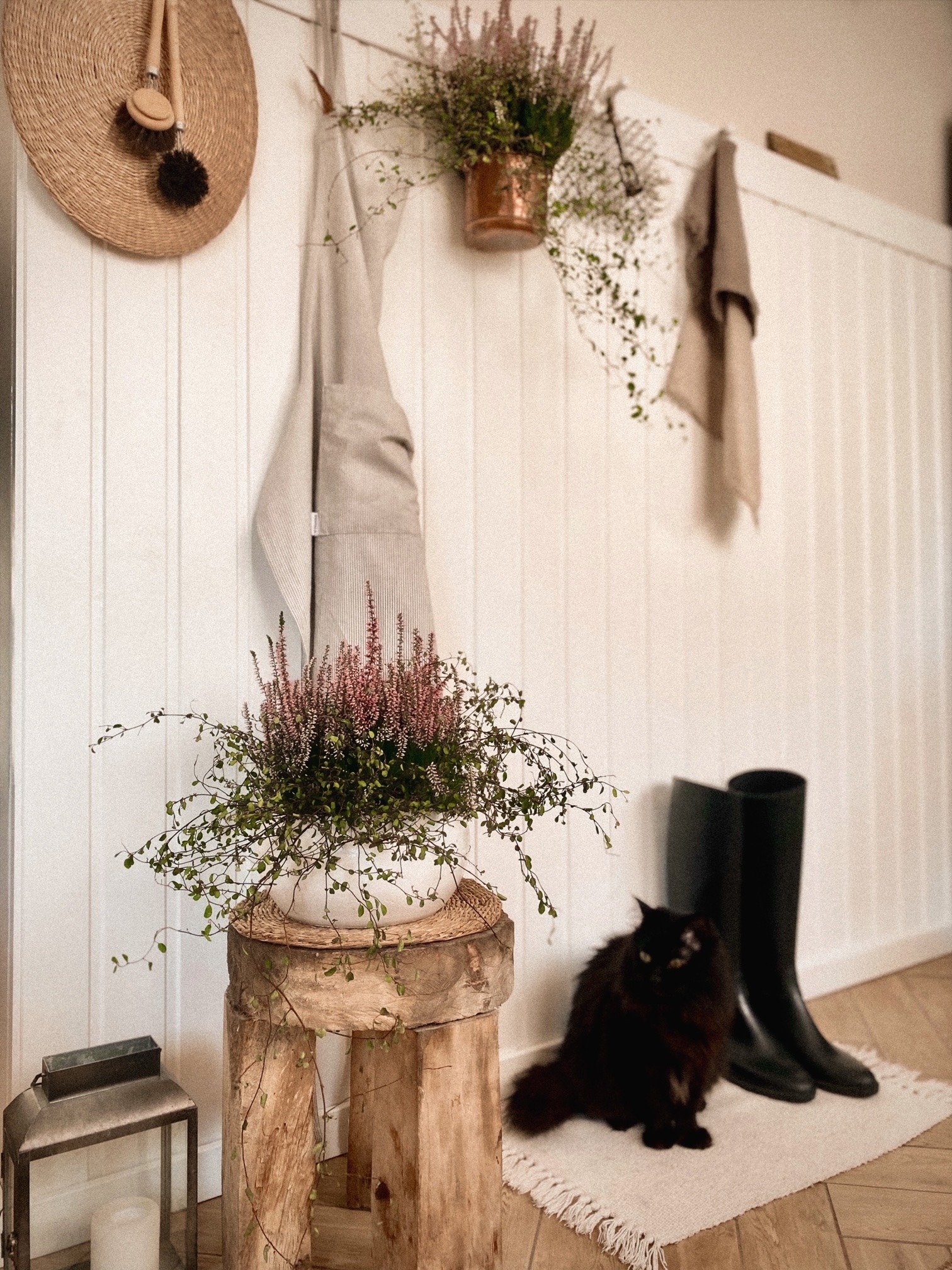 Jasne wnętrze z boazerią, dekoracjami ściennymi, roślinami w doniczkach, drewnianym stołkiem, latarenką i czarnym kotem siedzącym obok kaloszy.