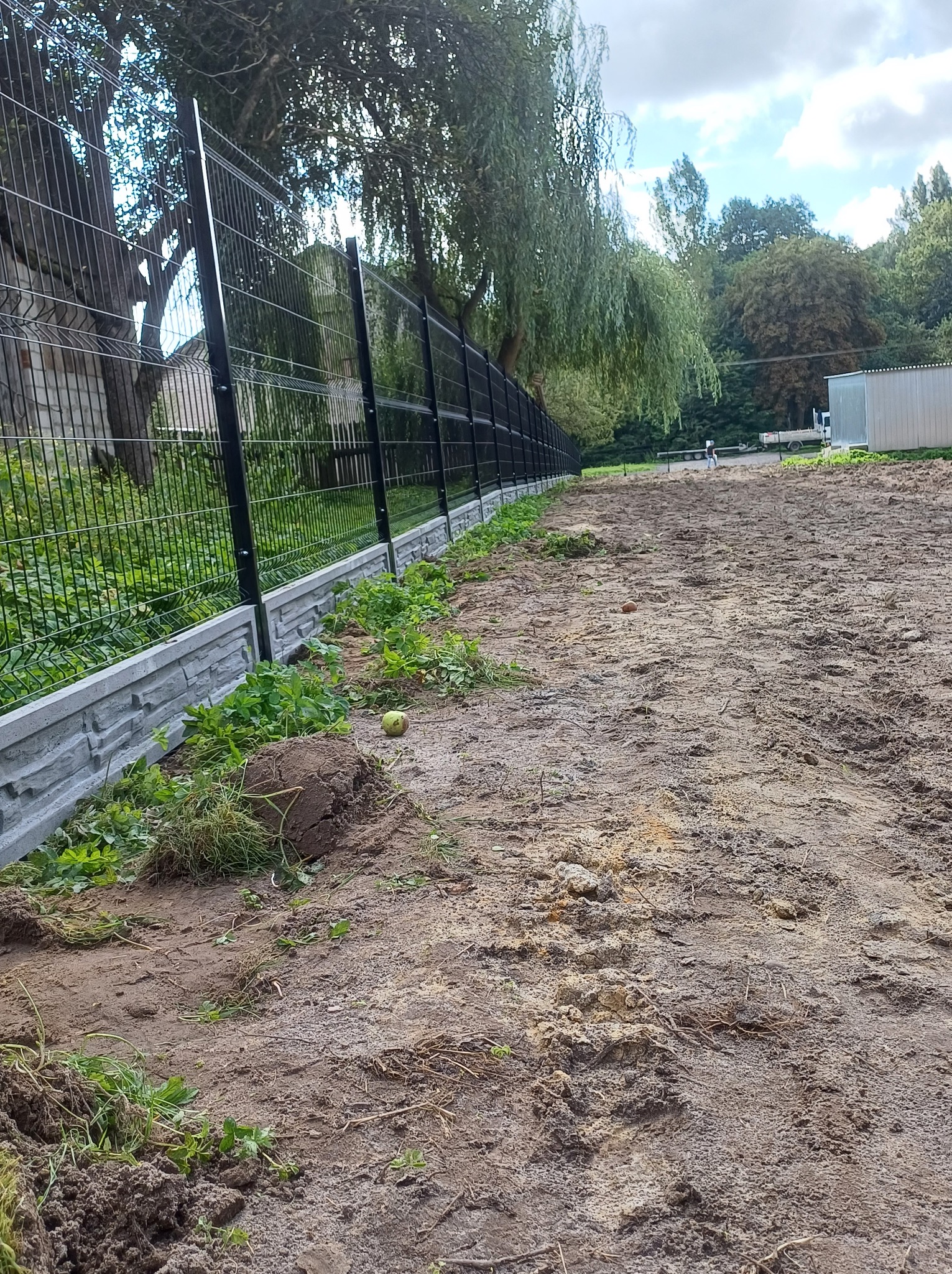 Długi odcinek czarnego ogrodzenia z siatki panelowej na betonowej podmurówce, widok na nierówny teren po instalacji, z drzewami w tle.