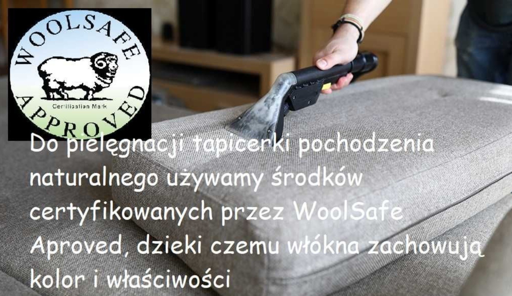 Czyszczenie jasnoszarej tapicerki sofy za pomocą odkurzacza piorącego; widoczny certyfikat WoolSafe.