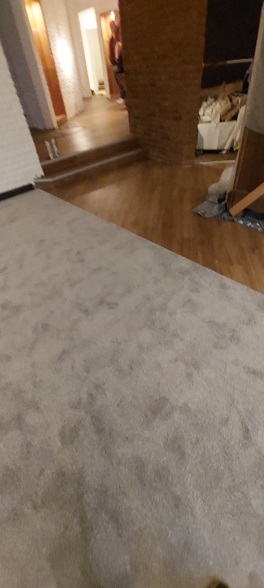 Fragment nowo położonej, jasnoszarej wykładziny dywanowej w pokoju, widoczny parkiet w tle.