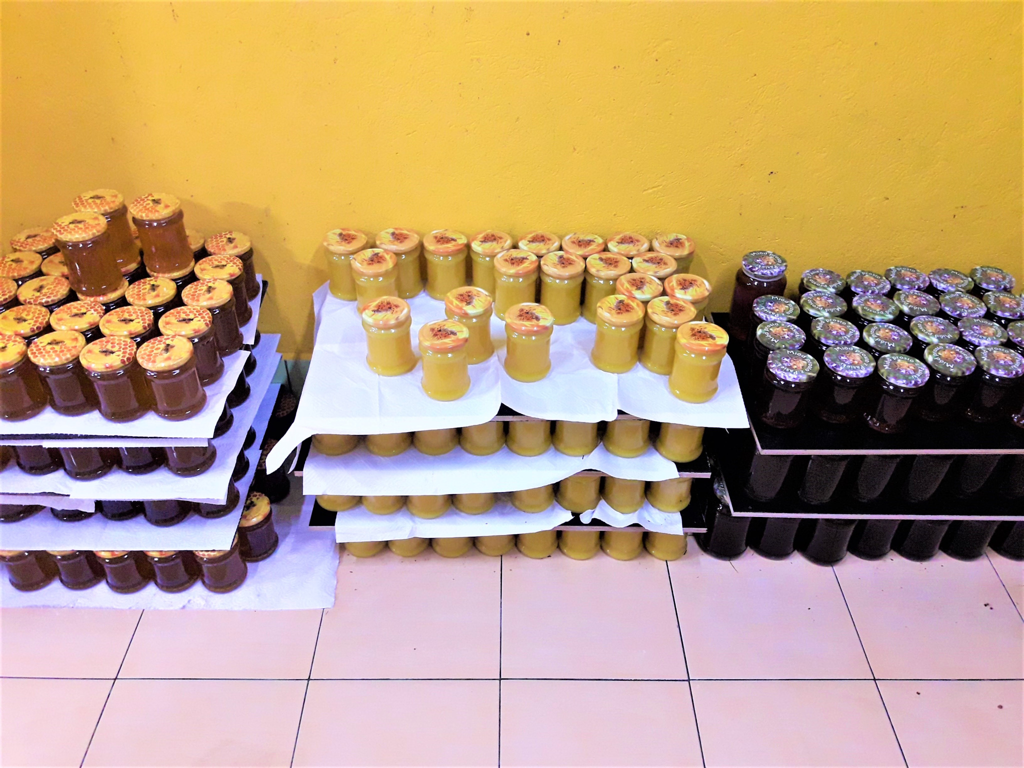Ustawione w rzędach słoiki z różnymi rodzajami miodu w Suwałkach, od jasnych po ciemne, z etykietami na wieczkach, na tle żółtej ściany.