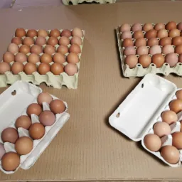 Cztery wytłaczanki z brązowymi produktami spożywczymi, dwie pełne i dwie otwarte, na tekturowym tle.