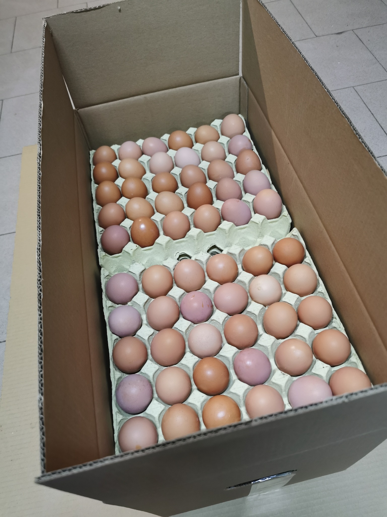 Kartonowe pudełko wypełnione wytłaczankami z jasnobrązowymi i różowawymi kurzymi produktami w środku.