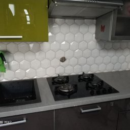 Glazurnik Łopuszna 1