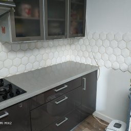 Glazurnik Łopuszna 2