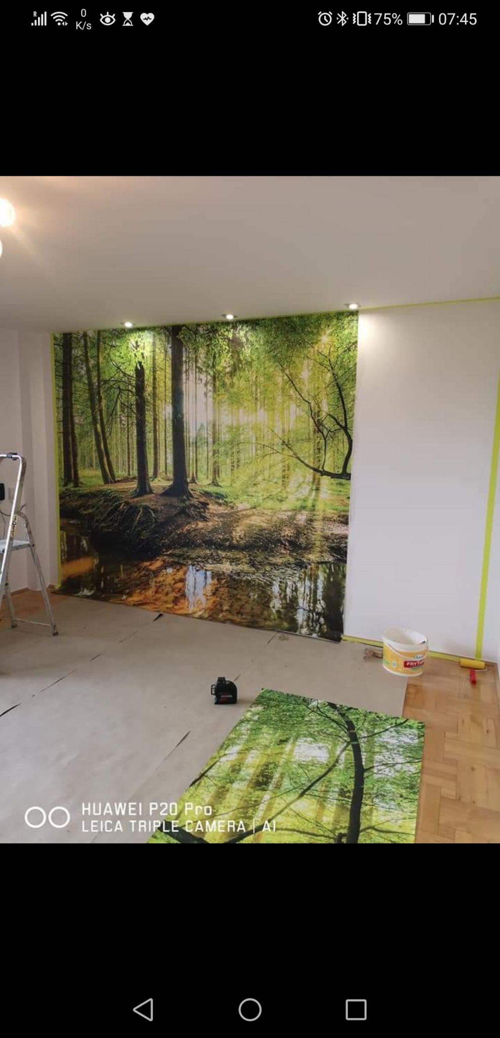 Naklejanie fototapety z motywem leśnym na ścianę, widoczna drabina, wiadro z klejem, laserowy niwelator i fragment parkietu.