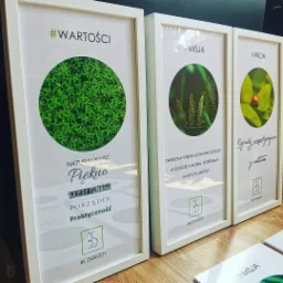 plakaty, ramki, obrazy