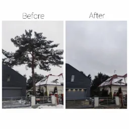 Porównanie 'Przed' i 'Po': wysoka sosna zasypana śniegiem przed domem, po prawej stronie zdjęcie po usunięciu drzewa, odsłaniające dom z czerwonym dachem i panele słoneczne.