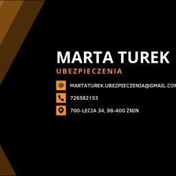 Ubezpieczenie samochodu Żnin 3