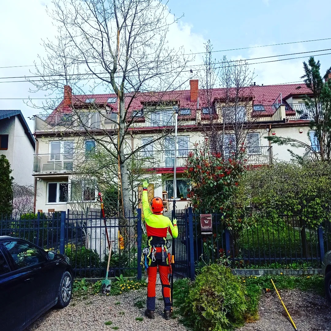 Arborysta w pomarańczowo-żółtym kombinezonie, z uprzężą i narzędziami, podczas pracy przy drzewie przed domem z czerwoną dachówką, używa długiej tyczki z narzędziem na końcu.