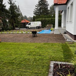 Dom i Ogród - Układanie trawy z rolki na przygotowanym gruncie przed domem, widoczny wózek z trawą, auto firmy ogrodniczej w tle, częściowo ułożona trawa z widocznym systemem siatki wzmacniającej.