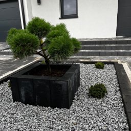 Dom i Ogród - Ozdobna sosna w czarnej, kwadratowej donicy z betonowych elementów, otoczona białym żwirem i niskimi krzewami na tle nowoczesnego domu z szarymi drzwiami garażowymi i schodami.