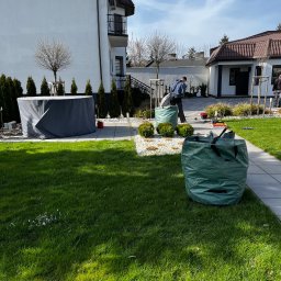 Wycinka drzew Płońsk 2