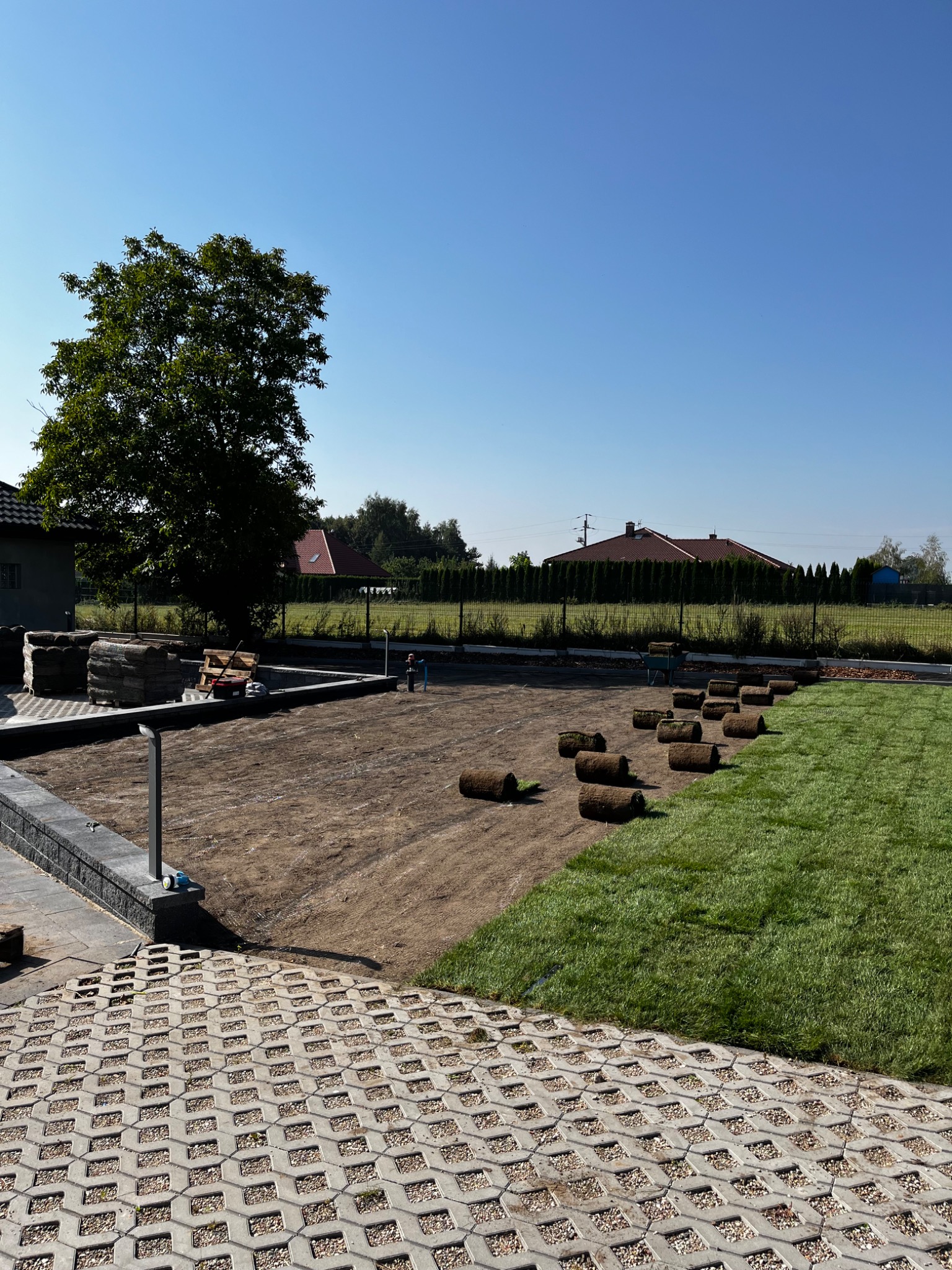 Rozwinięta i zwinięta trawa w rolkach na przygotowanym podłożu, widok na ogród z drzewem i domami w tle, kostka ażurowa na pierwszym planie.