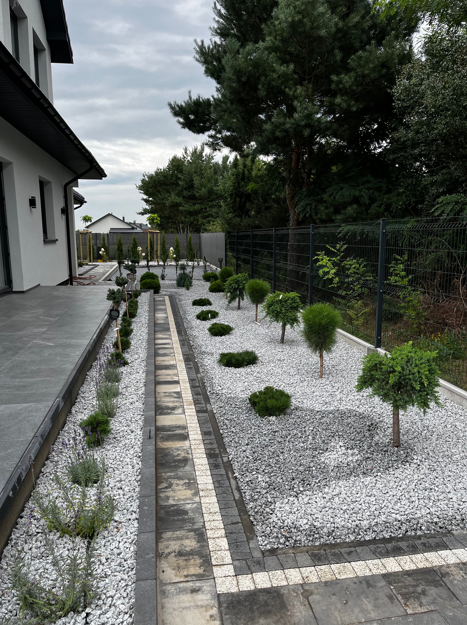 Nowoczesny ogród z białym żwirem, formowanymi drzewkami, lawendą wzdłuż ścieżki i eleganckim domem w tle pod pochmurnym niebem.