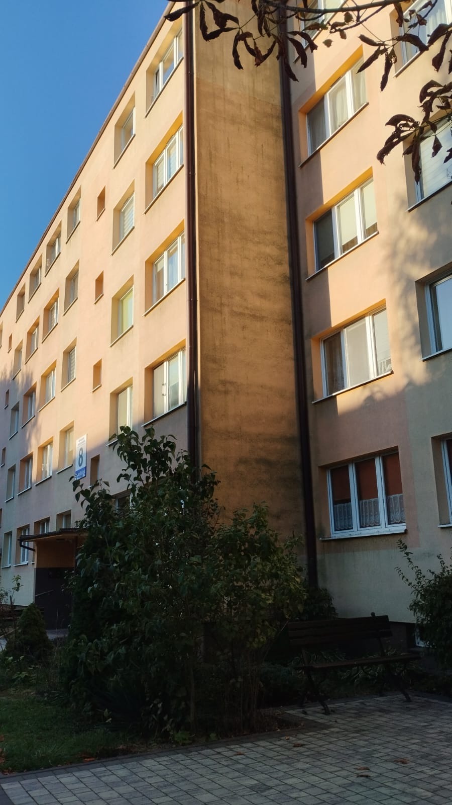 Wielopiętrowy budynek mieszkalny z widocznym fragmentem elewacji, gdzie widać różnicę w kolorze, prawdopodobnie po wykonanym czyszczeniu, zieleń przed budynkiem i błękitne niebo w tle.