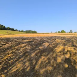Świeżo wyrównany teren pod budowę z widocznymi śladami po maszynach, w tle łagodny zielony pagórek i błękitne niebo.
