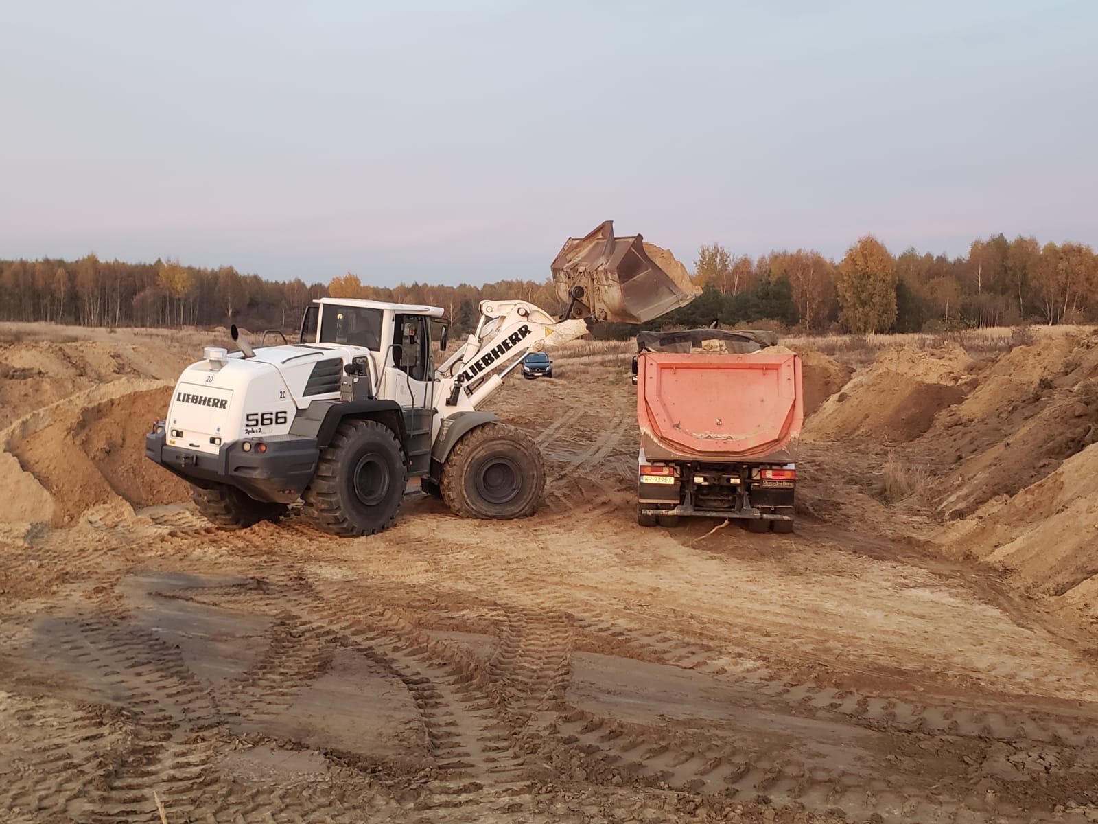 Biała ładowarka Liebherr 566 z pełną łyżką ładuje materiał na pomarańczową wywrotkę na tle piaszczystego wyrobiska i drzew