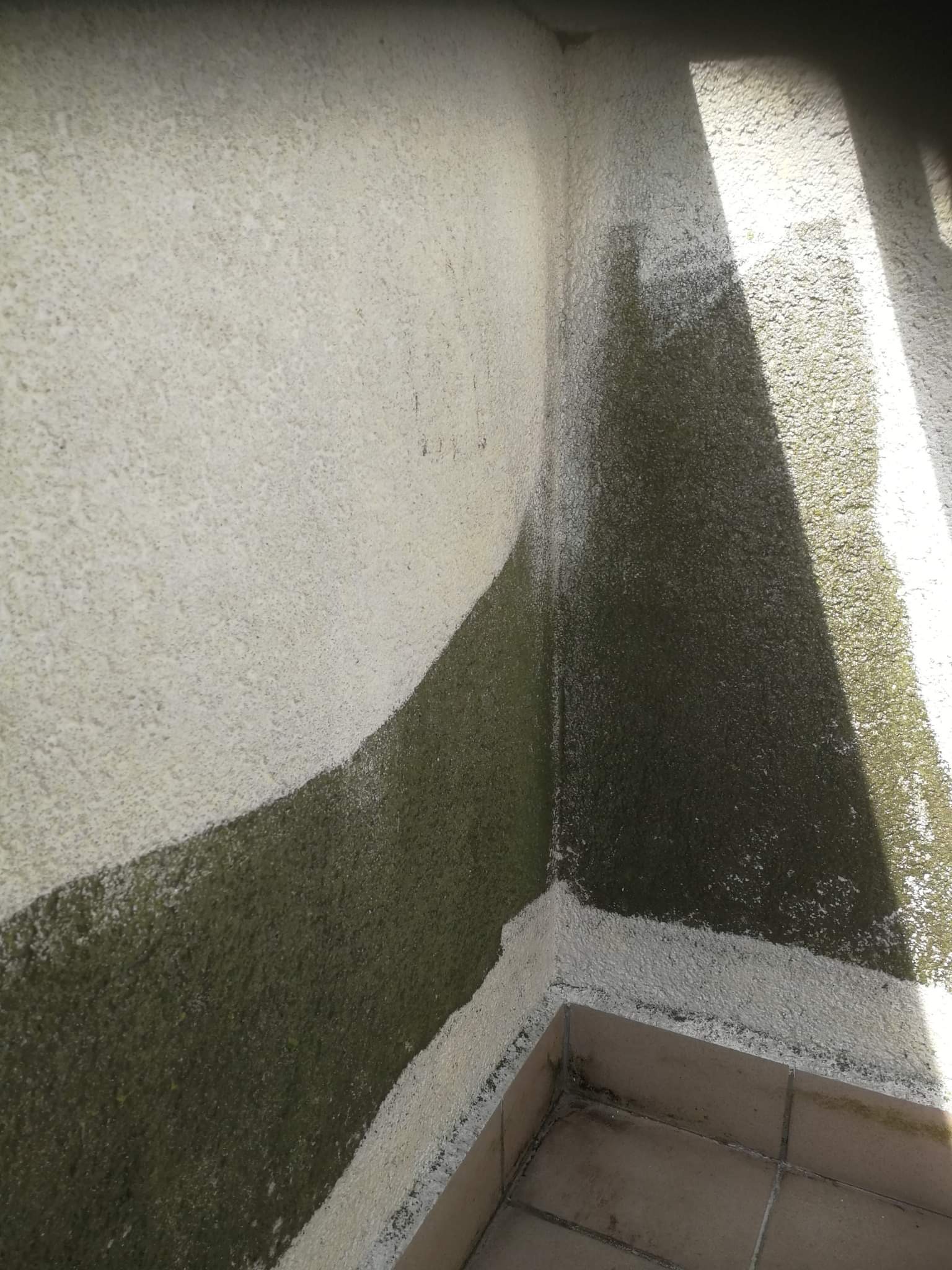 Narożnik elewacji z widocznym zanieczyszczeniem biologicznym (zielony nalot) na tynku strukturalnym oraz śladami zacieków, wpadające światło słoneczne.