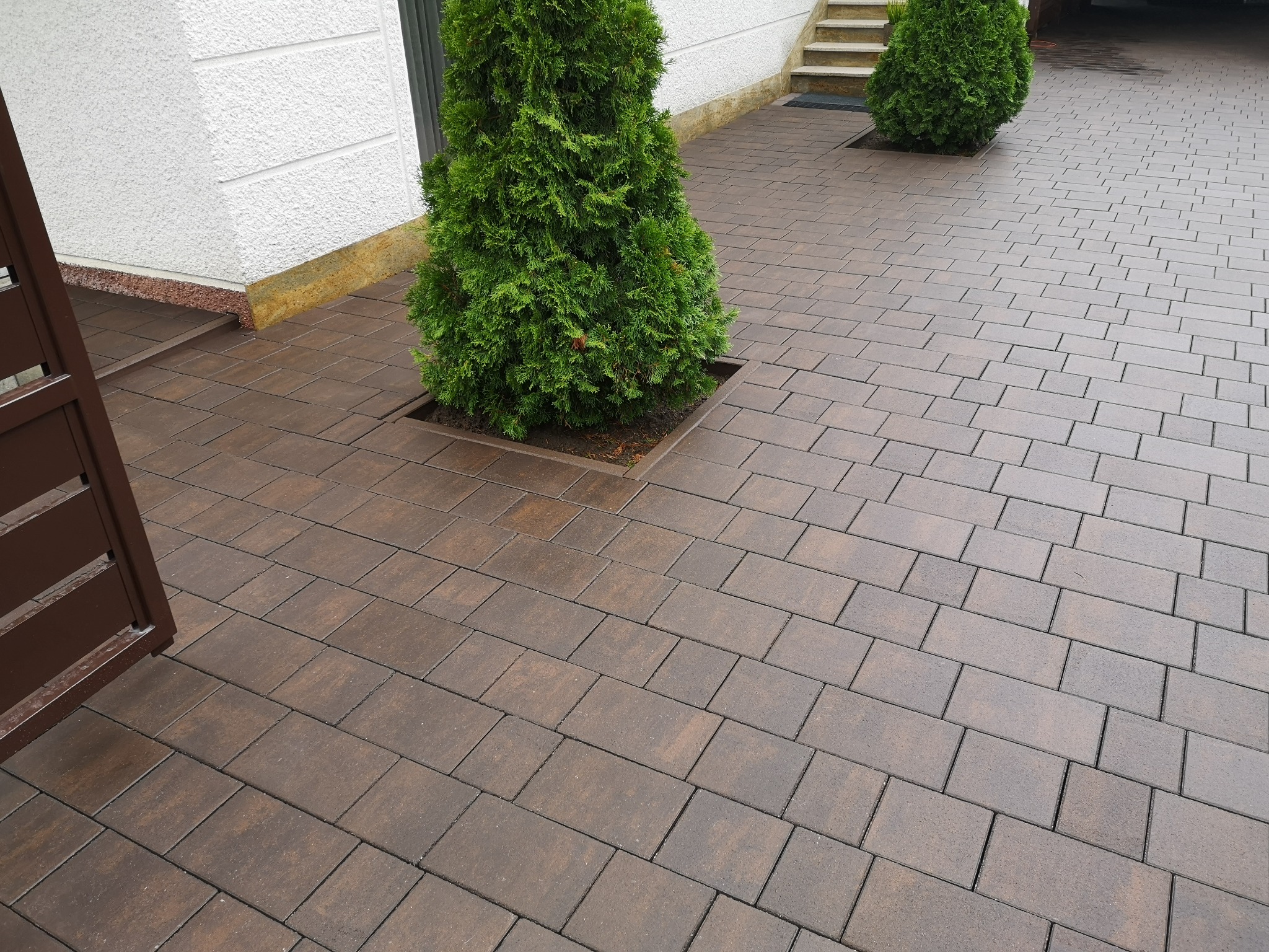 Brązowa kostka brukowa ułożona na podjeździe przed domem, z ozdobnymi tujami w kwadratowych obrzeżach i fragmentem brązowej bramy po lewej stronie.