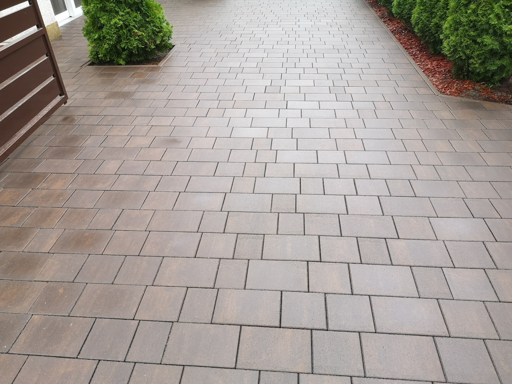 Ułożona, brązowo-szara kostka brukowa w kształcie prostokątów, obok zielone tuje i kora, w tle fragment brązowej bramy.