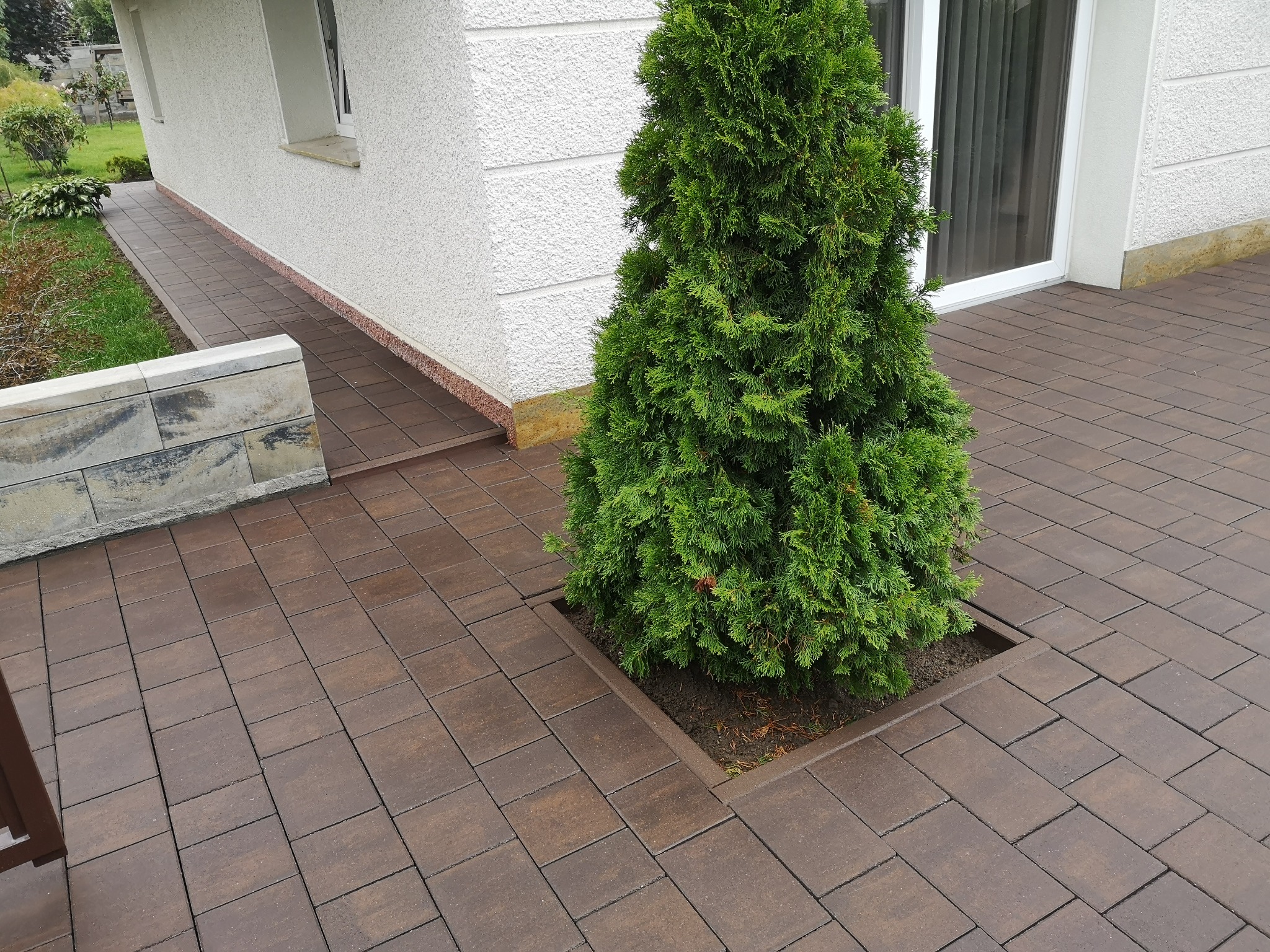 Brązowa kostka brukowa ułożona wokół rabaty z tujami przy białym budynku z widocznym fragmentem murku z kamienia łupanego.