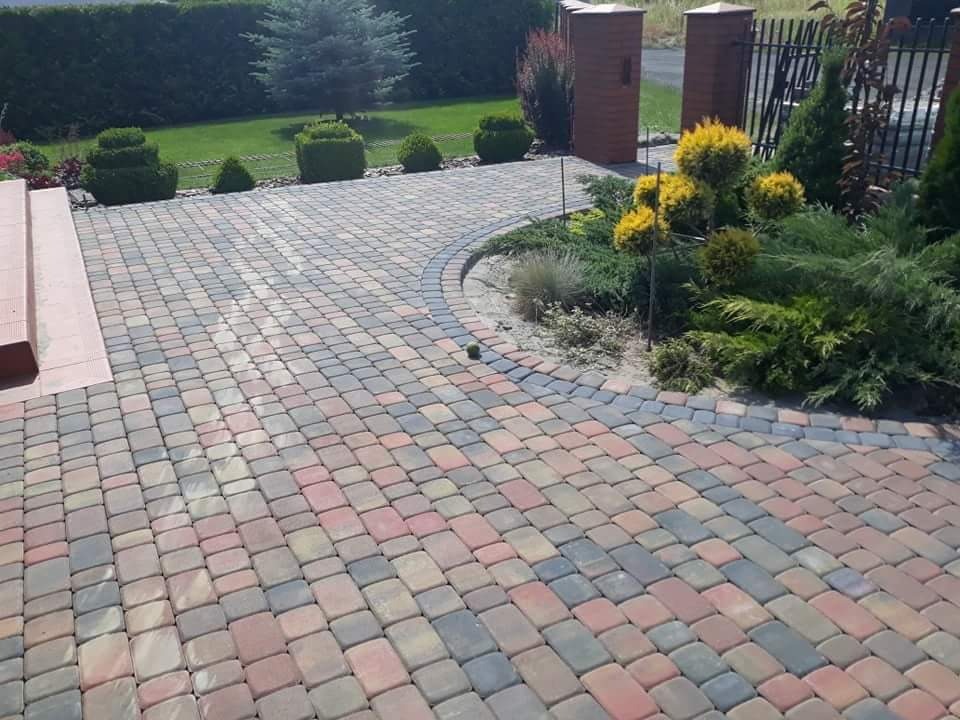 Kolorowa kostka brukowa ułożona na podjeździe z ozdobnymi rabatami i formowanymi krzewami w tle.