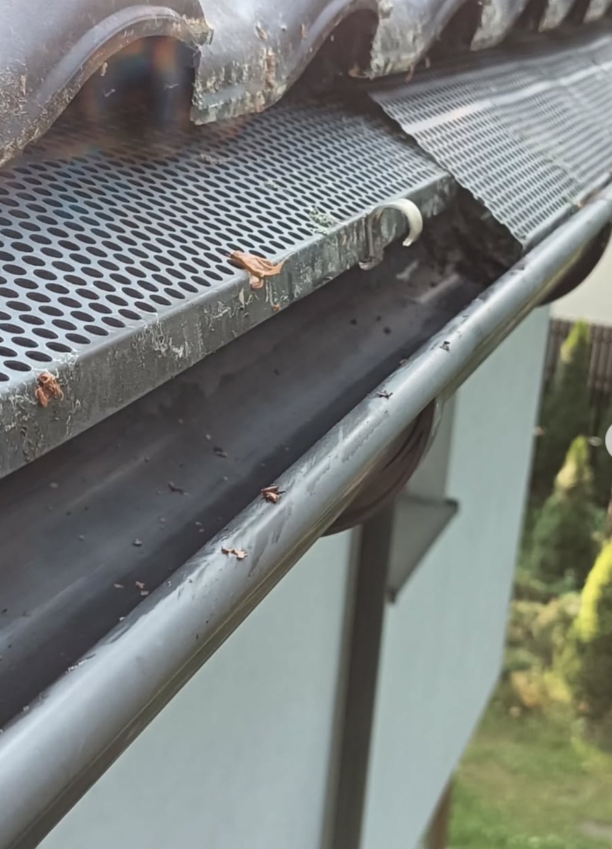 Szara rynna z siatką zabezpieczającą, widoczne liście i drobne zanieczyszczenia. Ujęcie z bliska, z elementami dachu i zieleni w tle.