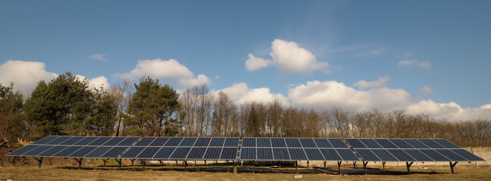 Rząd paneli słonecznych na metalowej konstrukcji na tle błękitnego nieba z chmurami i rzędu drzew bez liści.