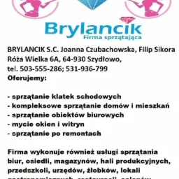Ogłoszenie firmy sprzątającej Brylancik z ofertą sprzątania klatek schodowych, domów, biur, mycia okien i sprzątania po remontach, z grafiką diamentu i postaci kobiety ze ścierką.