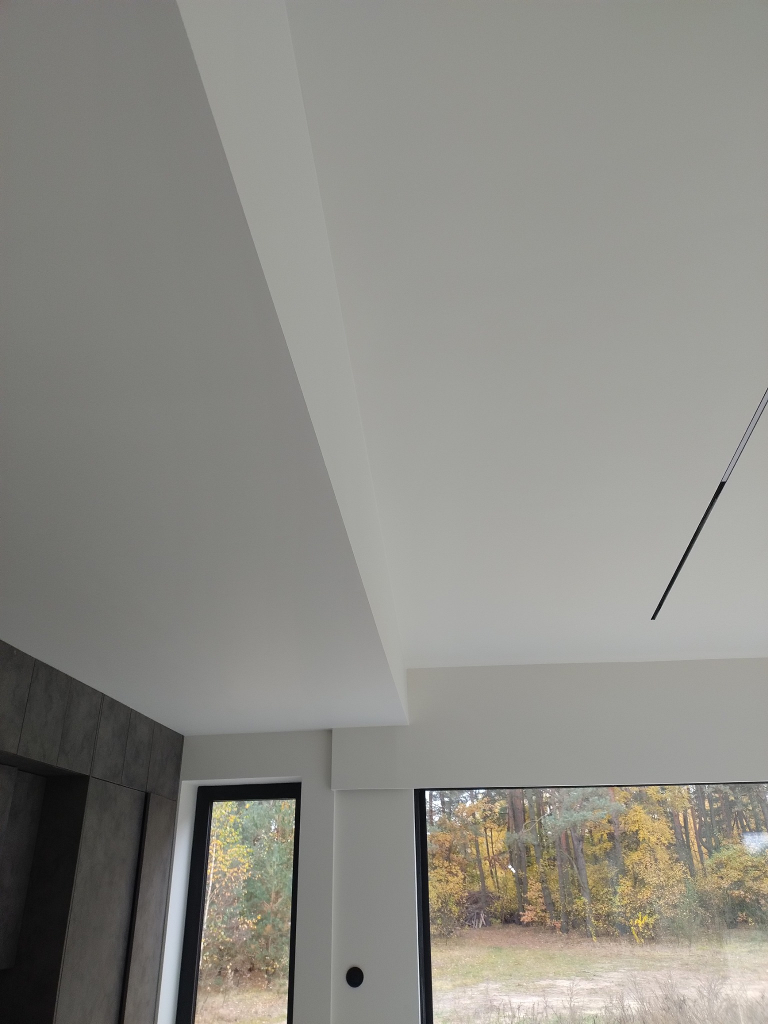 Jasne wnętrze z gładzią na suficie i ścianach, widok na jesienny las przez okno, minimalistyczna lampa sufitowa.