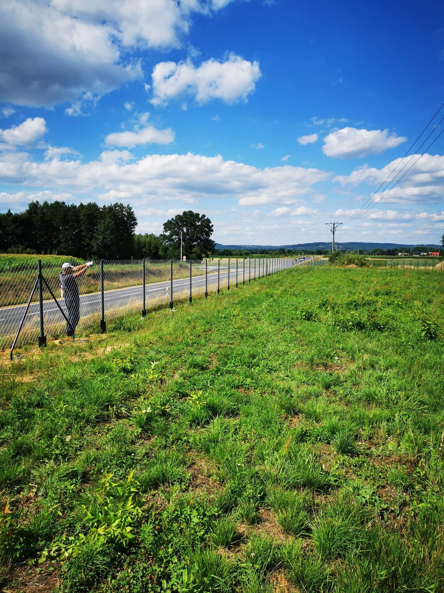 Mężczyzna w czapce i rękawicach naciąga siatkę na słupki nowego ogrodzenia z siatki, widok na łąkę i błękitne niebo z chmurami.
