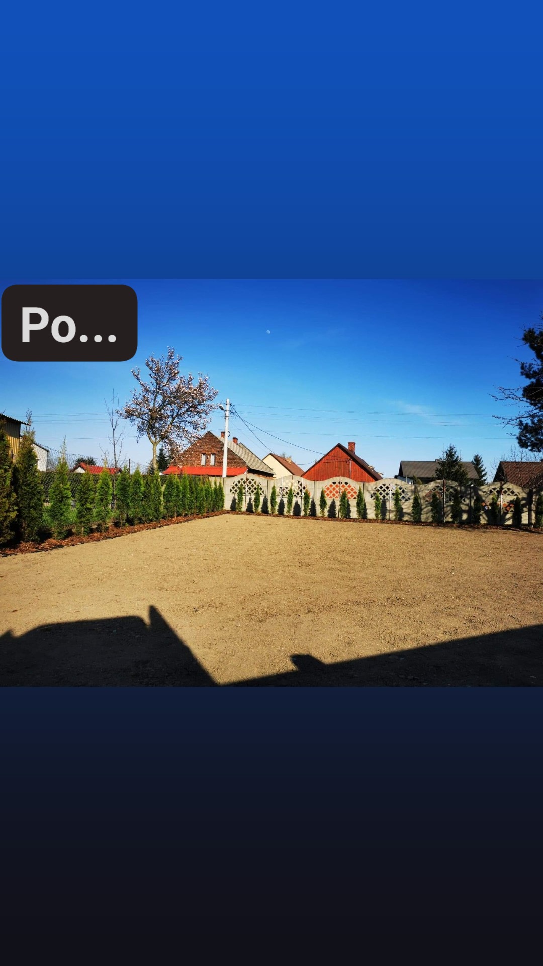 Widok działki po wyrównaniu terenu pod trawnik, z widocznym betonowym ogrodzeniem z dekoracyjnymi prześwitami i szpalerem posadzonych młodych drzewek iglastych.