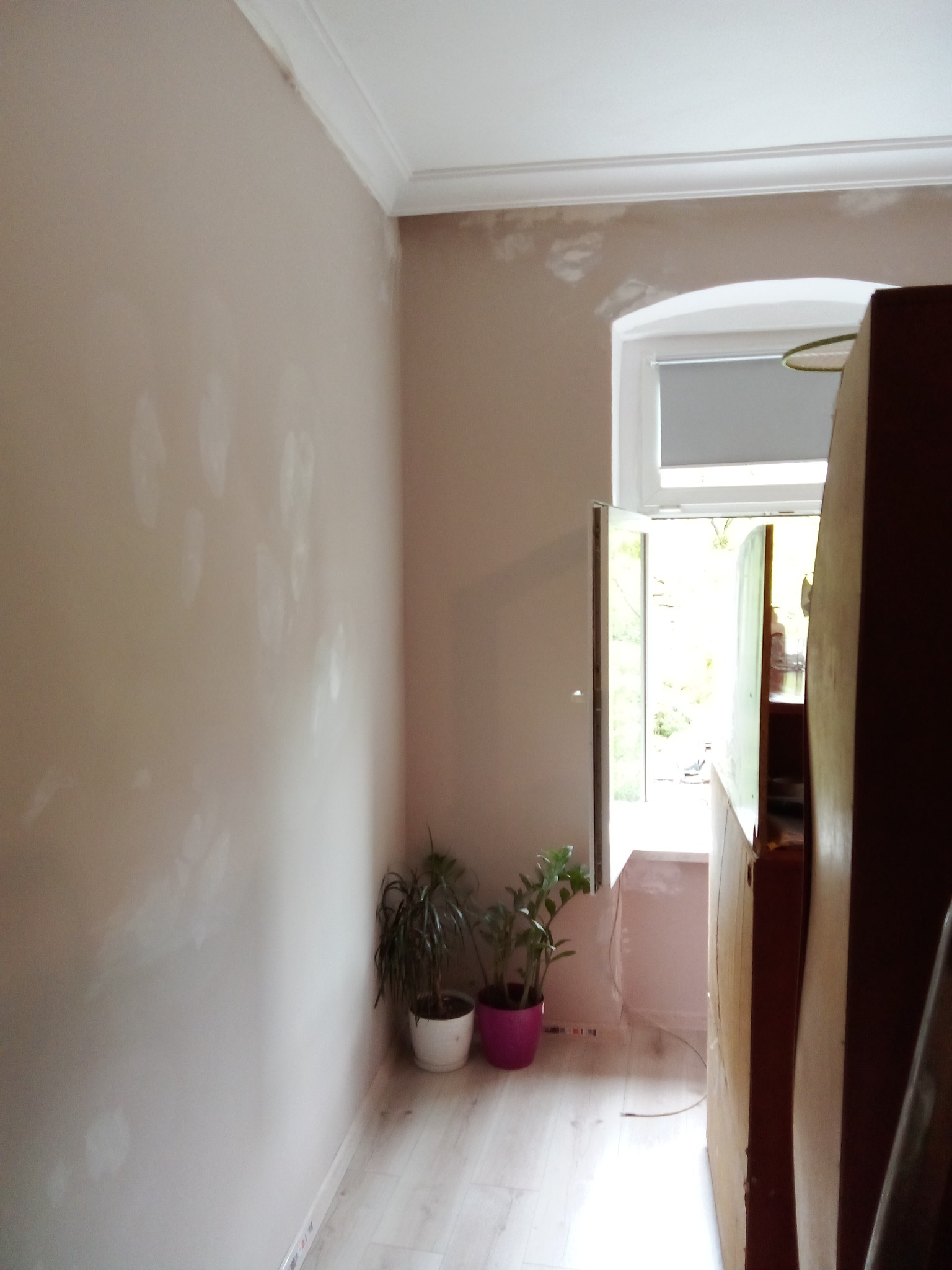 Pokój w trakcie przygotowania do malowania: ściany po szpachlowaniu z widocznymi łatami, sztukateria sufitowa, okno z otwartymi skrzydłami, dwie doniczki z roślinami w rogu przy podłodze z paneli.