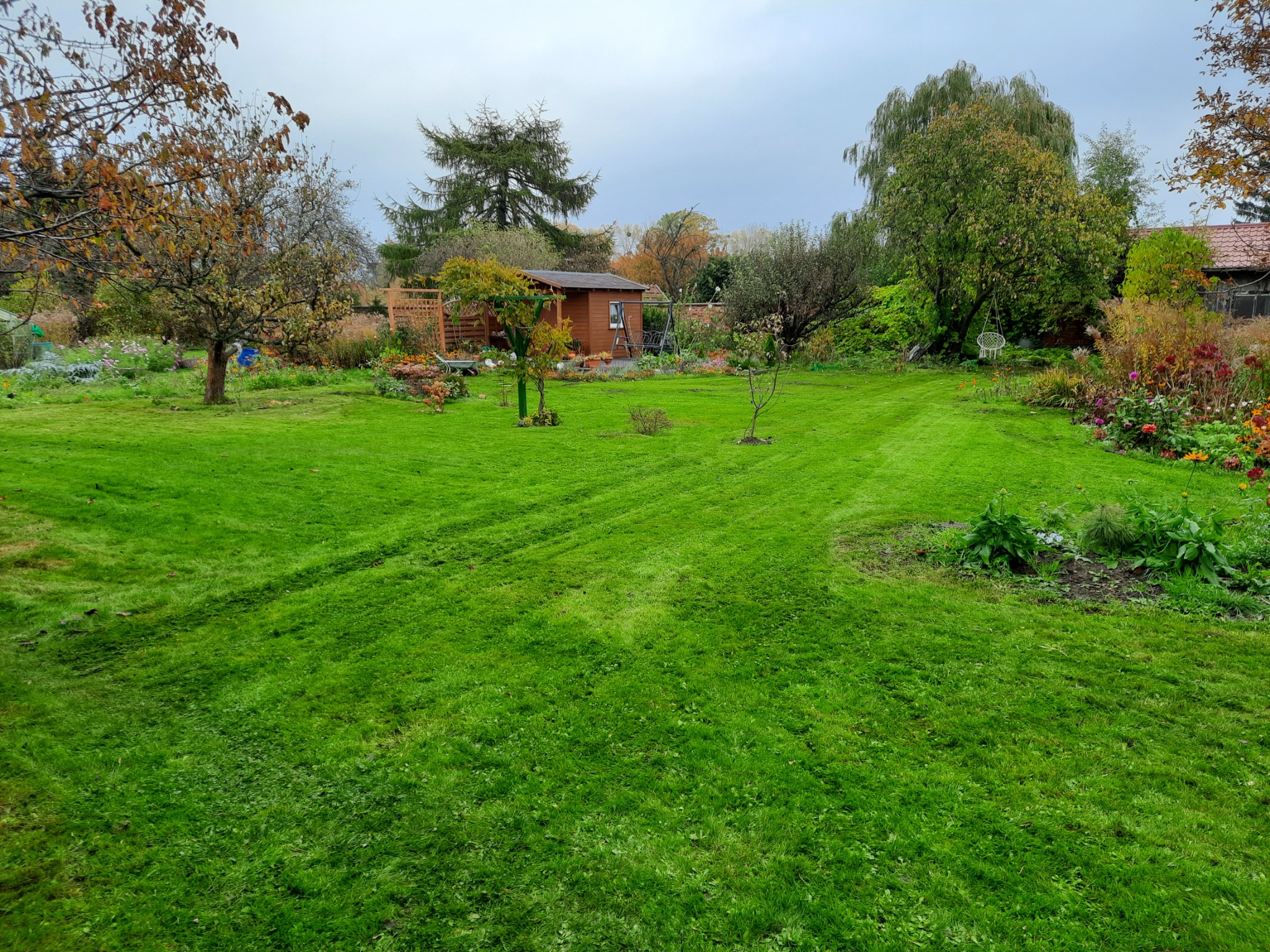 Rozległy trawnik po koszeniu, z widocznymi pasami, w tle drewniany domek ogrodowy, drzewa owocowe i rabaty kwiatowe w jesiennej scenerii.