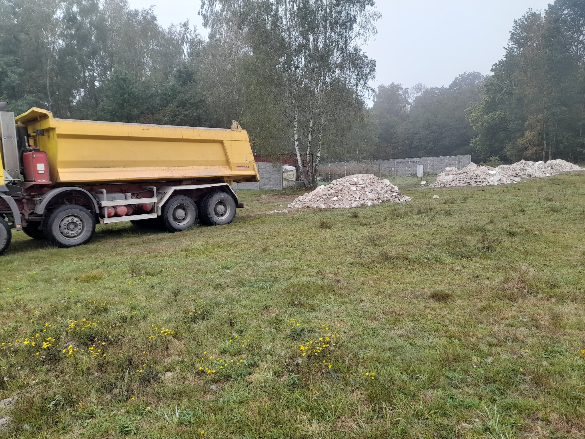 Żółta wywrotka na łące z kupami gruzu, widoczny fragment lasu i betonowe ogrodzenie w tle, pochmurny dzień.