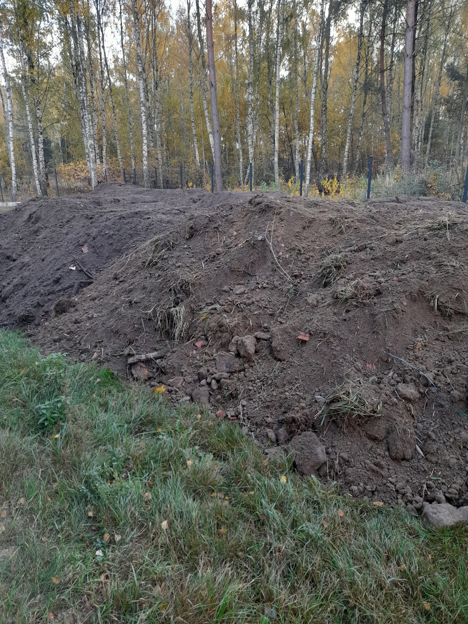 Kupa ciemnej ziemi z grudami i resztkami roślinności na tle lasu z drzewami liściastymi w jesiennej szacie, widoczne świeże ślady po pracach ziemnych.