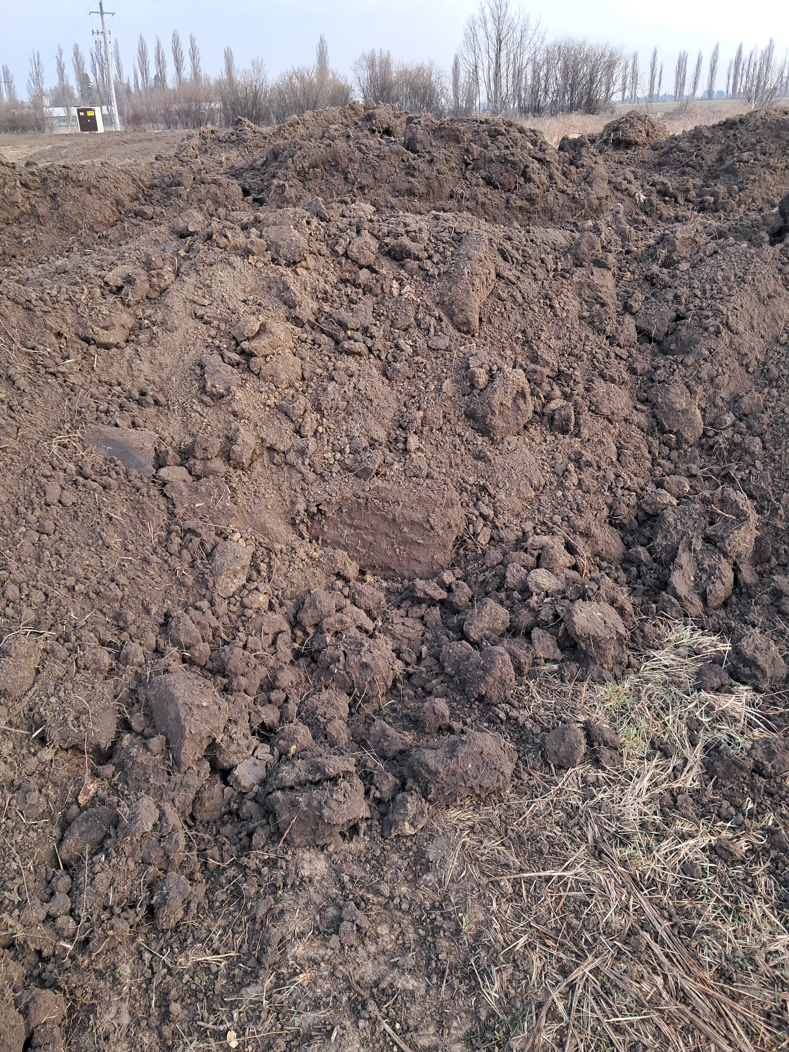 Kupa świeżo wykopanej ziemi w Jaktorowie, z widocznymi grudami i resztkami roślinności, w tle drzewa bez liści i niewielki budynek.