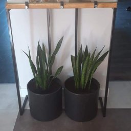 Spawacz Ruda Śląska 2