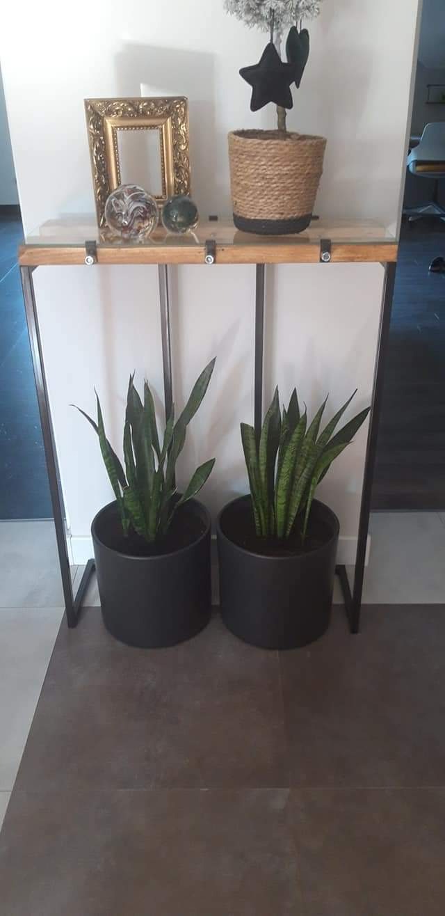 Metalowa konsola z drewnianym blatem i szklanymi elementami mocującymi, na której stoją dekoracje: złota ramka, szklane kule i roślina w jutowym koszu, a pod nią dwie donice z zielonymi roślinami...