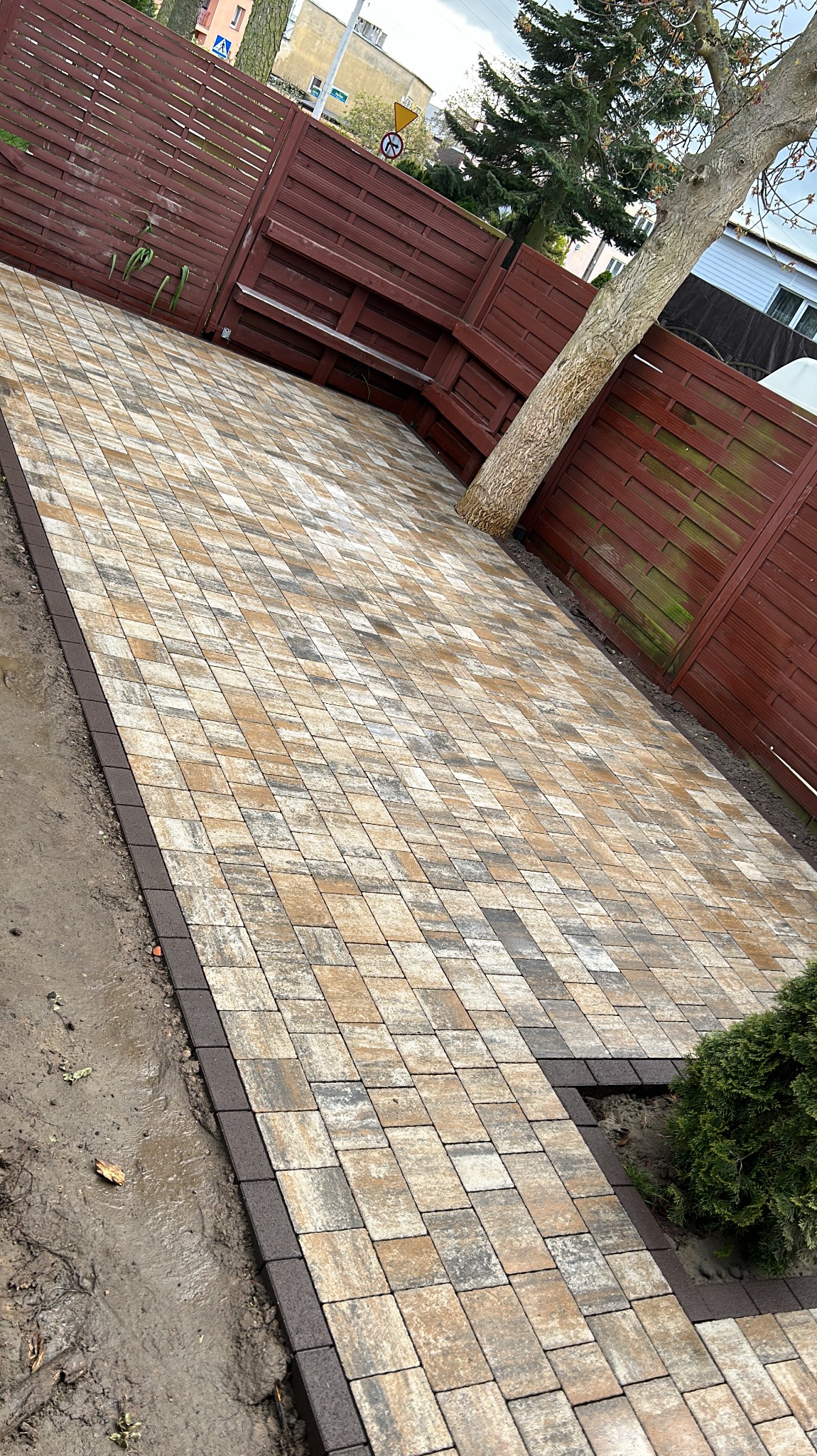 Nowo ułożona nawierzchnia z kostki brukowej w odcieniach beżu i szarości, obrzeża z ciemniejszej kostki, drzewo rosnące w wyznaczonym miejscu na patio, brązowe drewniane ogrodzenie w tle.