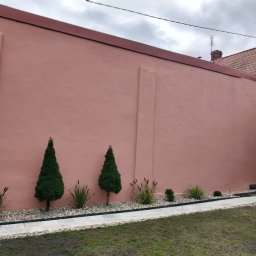 Czyste Elewacje - Różowa elewacja domu z nasadzeniami: tuje, trawy ozdobne i kamienny chodnik. Widok na ścianę budynku z elementami architektury i zieleni.