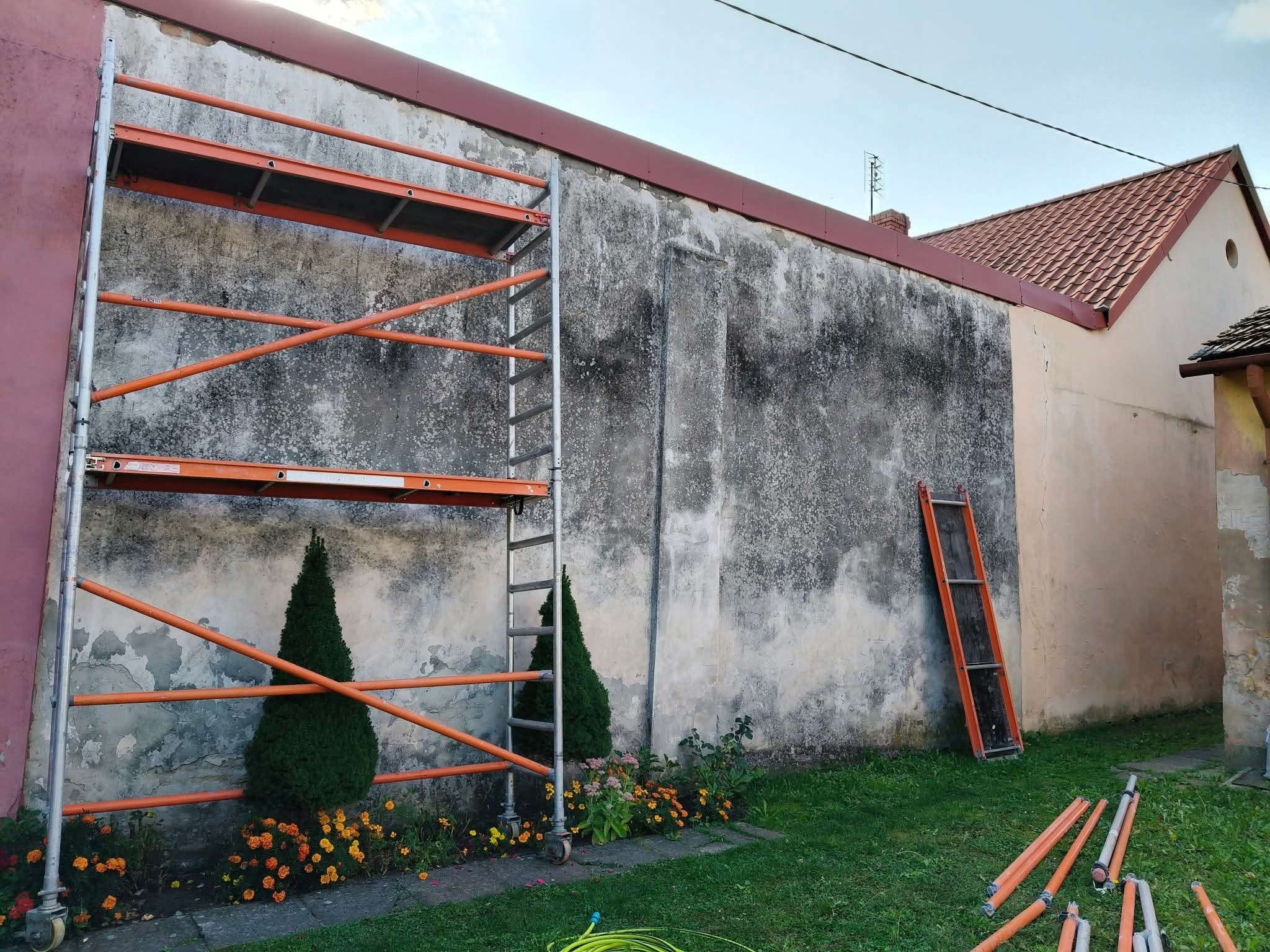 Przygotowania do prac elewacyjnych: rusztowanie, drabina oparta o ścianę z widocznymi śladami wilgoci, elementy rusztowania na trawie, tuje i kwiaty wzdłuż ściany.