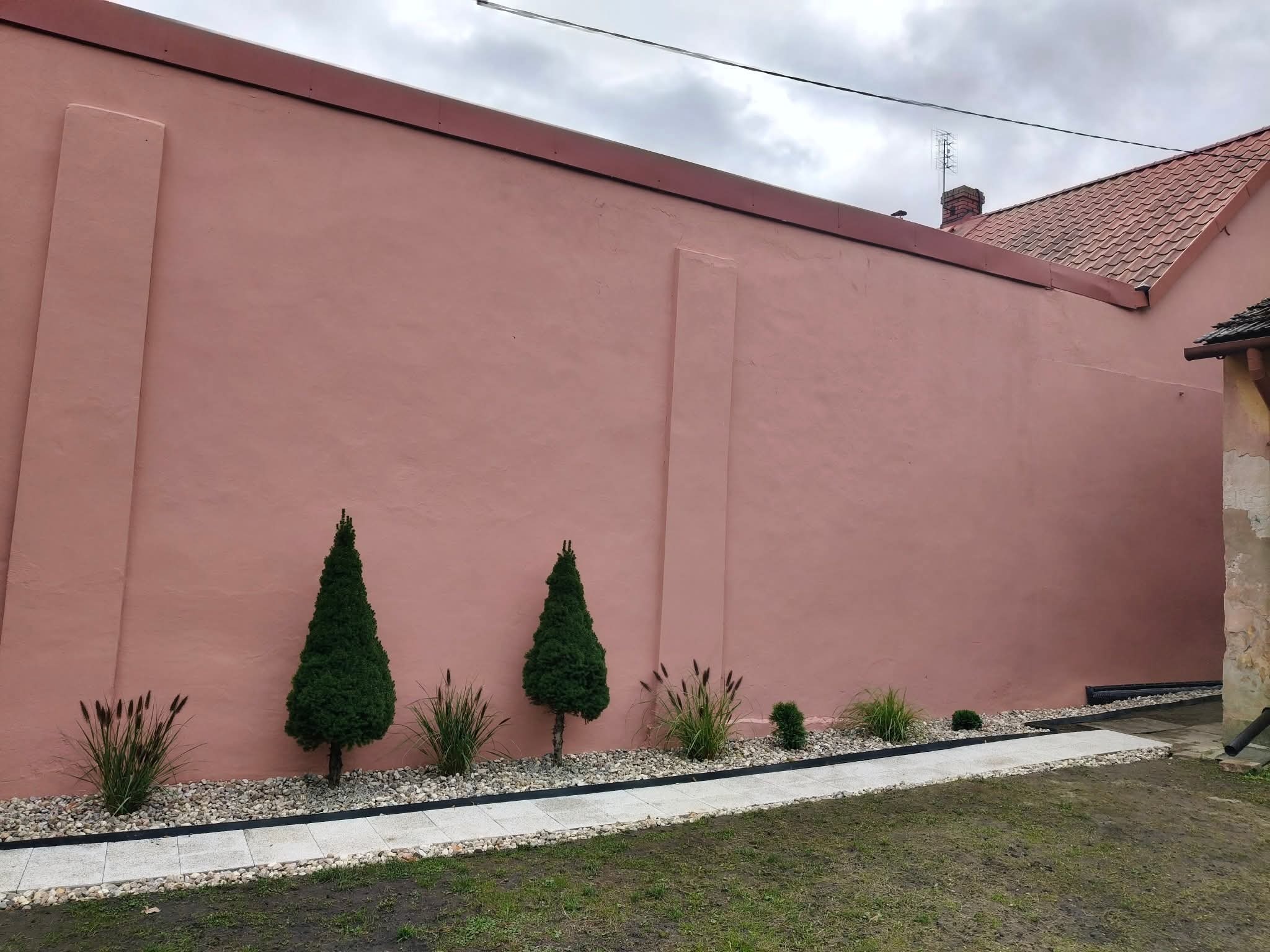 Różowa elewacja domu z nasadzeniami: tuje, trawy ozdobne i kamienny chodnik. Widok na ścianę budynku z elementami architektury i zieleni.