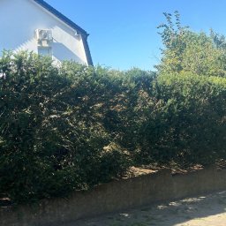 Montaż ogrodzeń Poznań 4