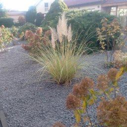 Montaż ogrodzeń Poznań 1