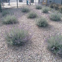 Montaż ogrodzeń Poznań 2